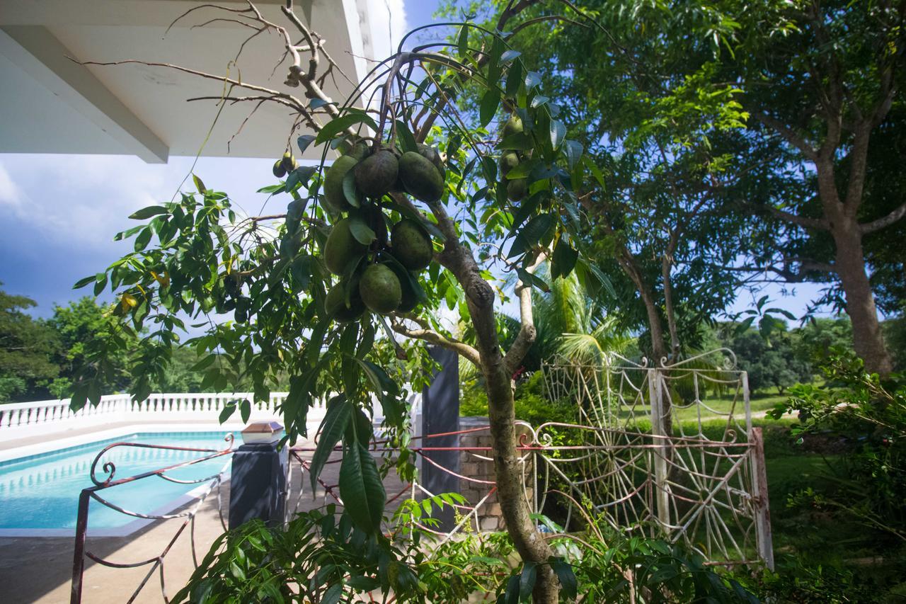 Rainbow Hill Villa Negril Exterior photo